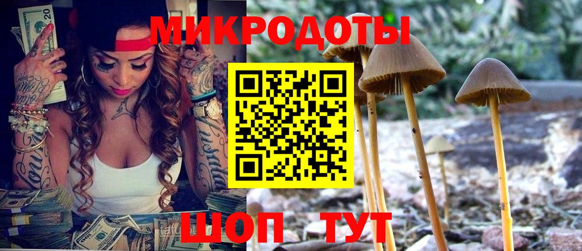 Псилоцибиновые грибы Magic Shrooms  Псилоцибиновые грибы мицелий  Вход с VPN  Знаменск 